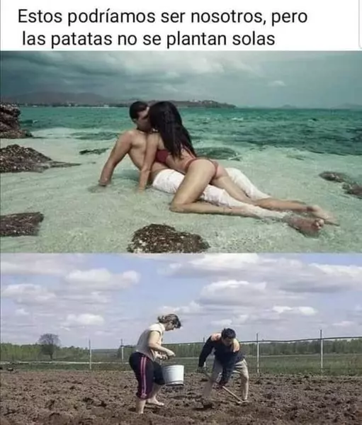 1715232695099.webp