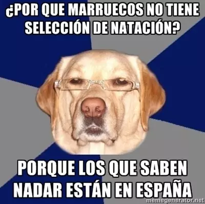1715515453345.webp