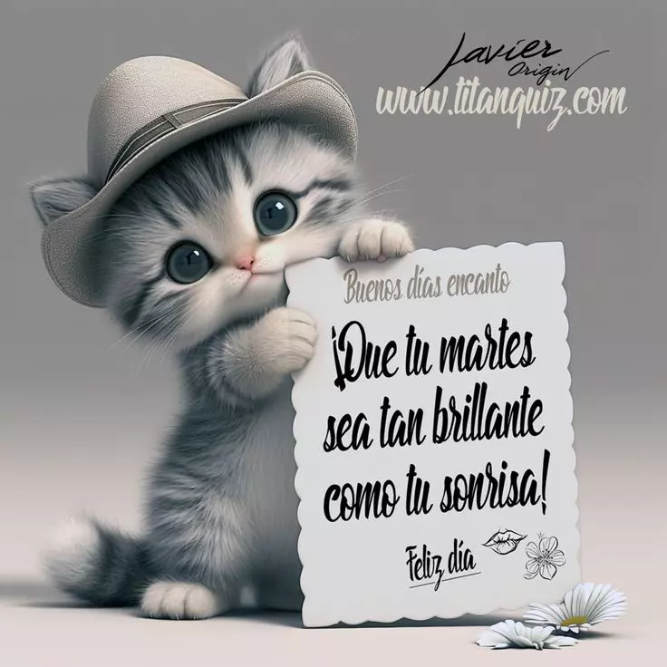 1716272853965.webp