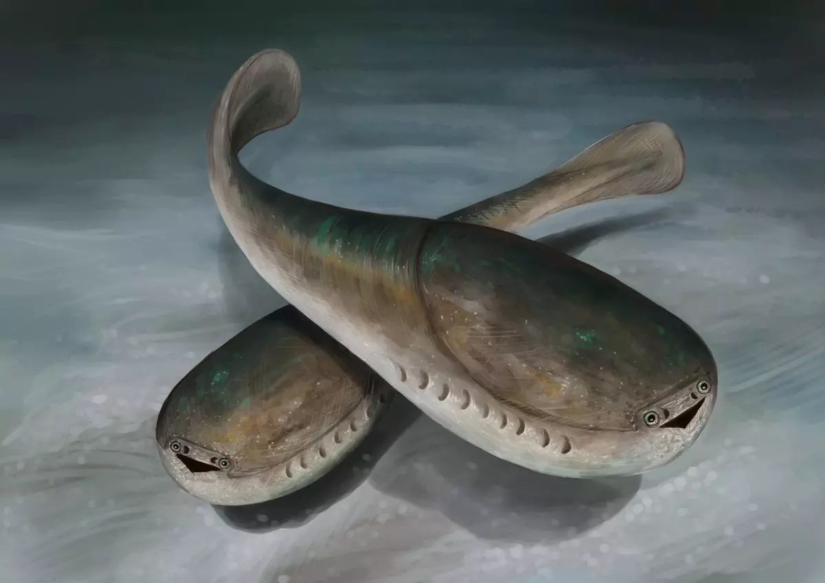 1718276607138.png
