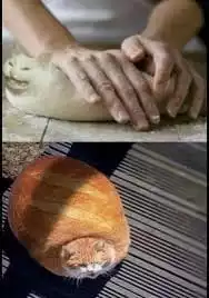 1719223423891925.jpg