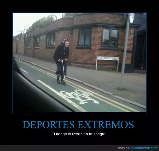 1719398807305.webp