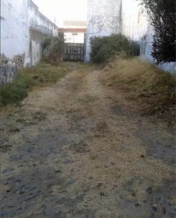 1721975730697.png