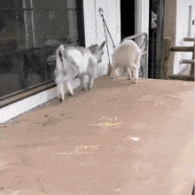 1722433817627.gif