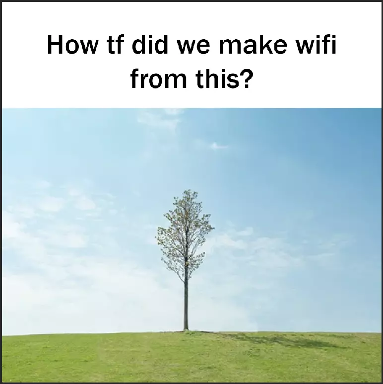 1722586054061.webp