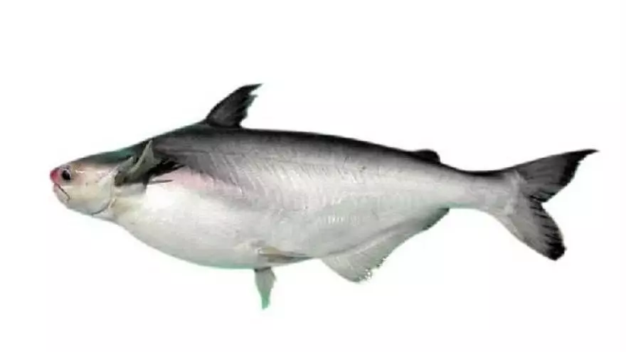 1722890030986.png