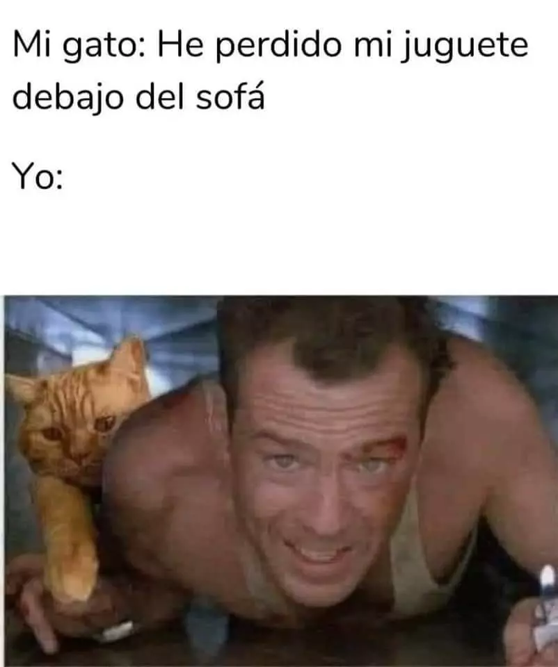 1724261150012.webp