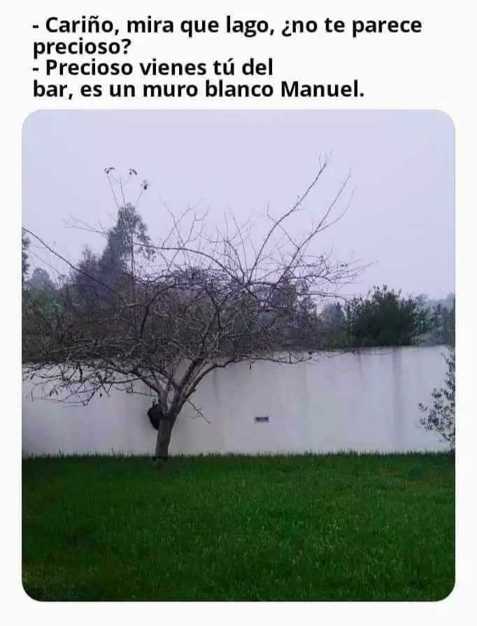 1724261851037.webp