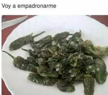 1724262582488.webp