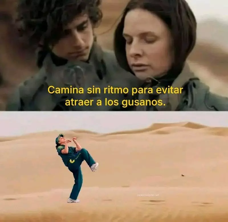 1724485752861.webp