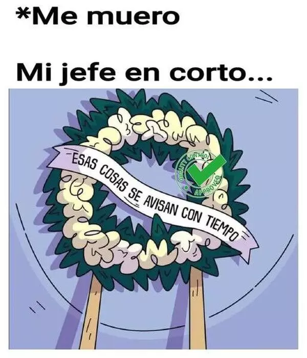 1726389589147.webp