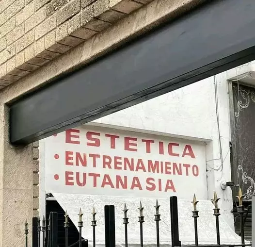 1726433154692.webp