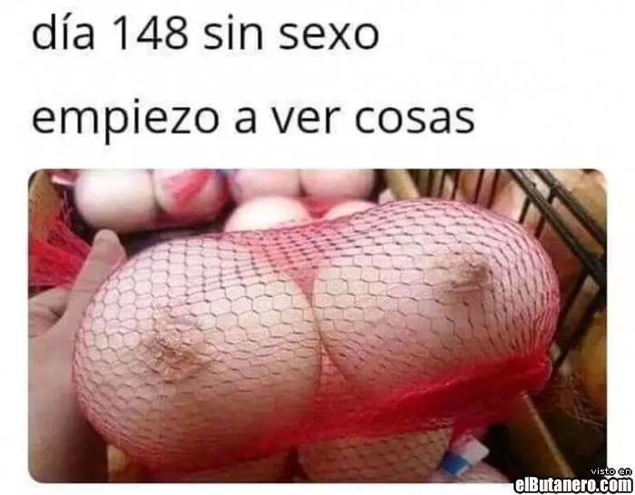 1726433200789.webp
