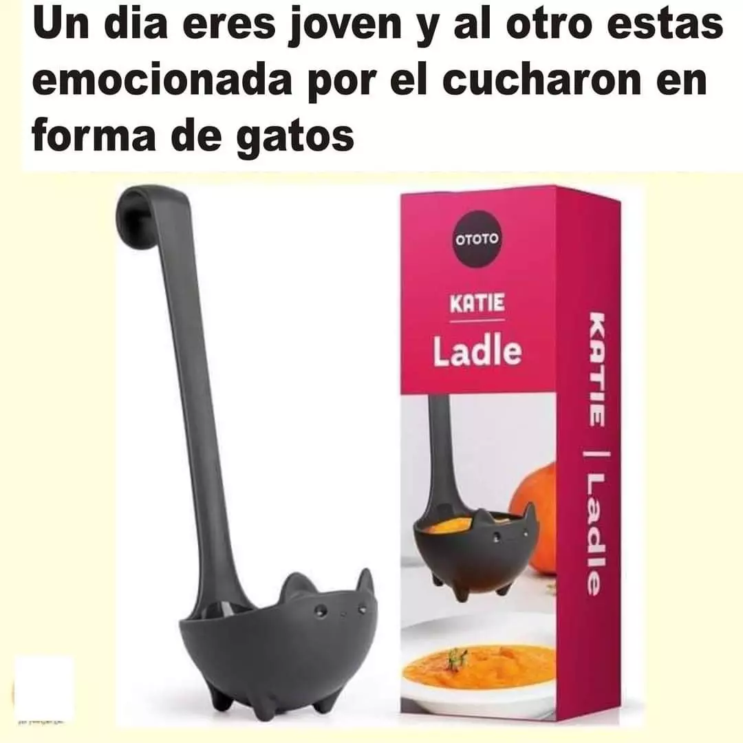 1726672050365.webp