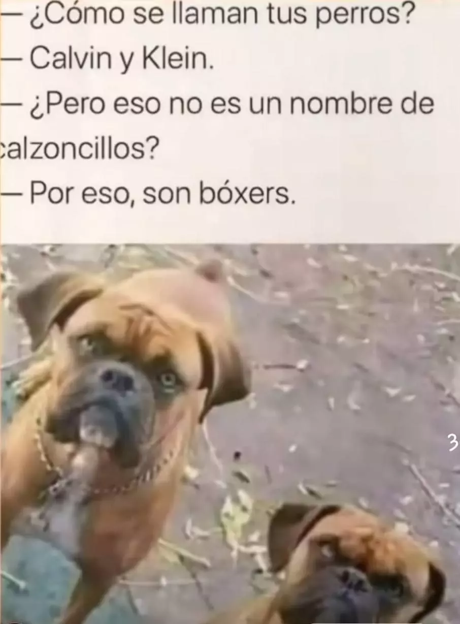 1726776043531.webp