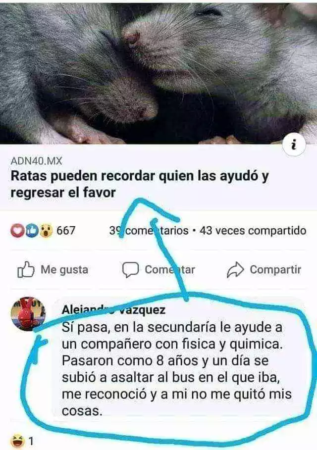 1727279159985.webp