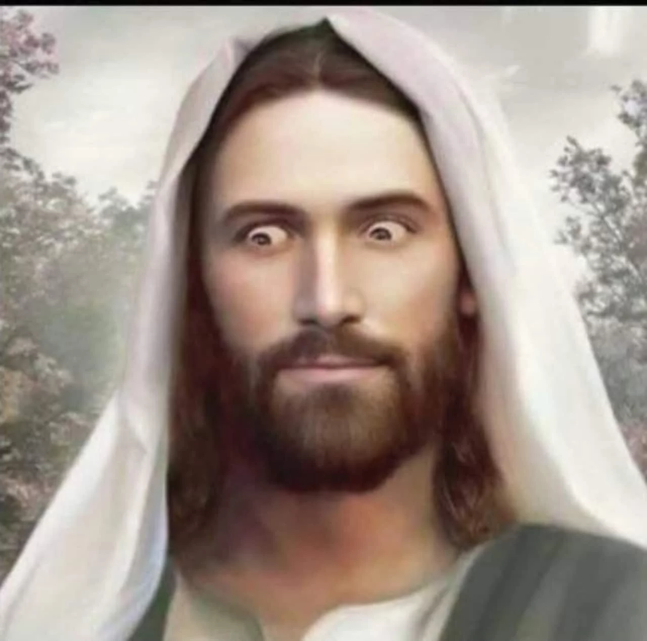 1728044257738.webp