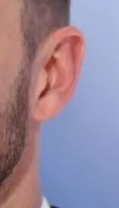 1728812478142.webp