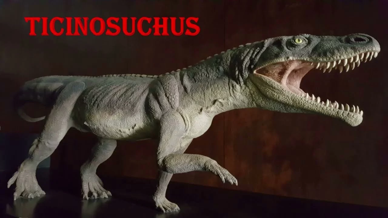 1729443734419.jpeg