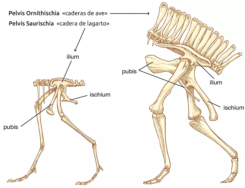 1729986234536.png