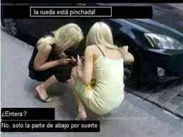 1732231810173.webp