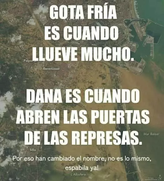 1733052749316.webp