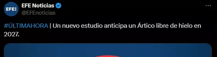 1733334133515.webp