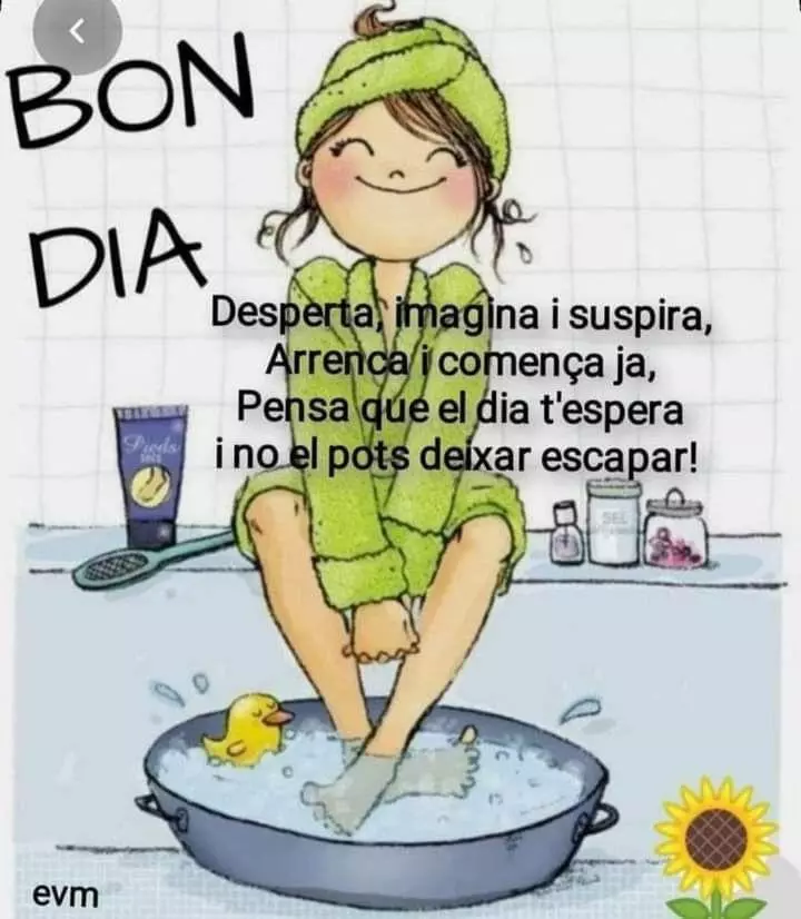 1733833952674.webp