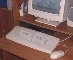1733927414365.webp