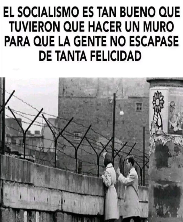1734505584909.webp