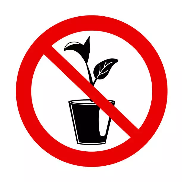 1734708028080.png