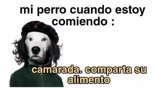 1734957098606.webp