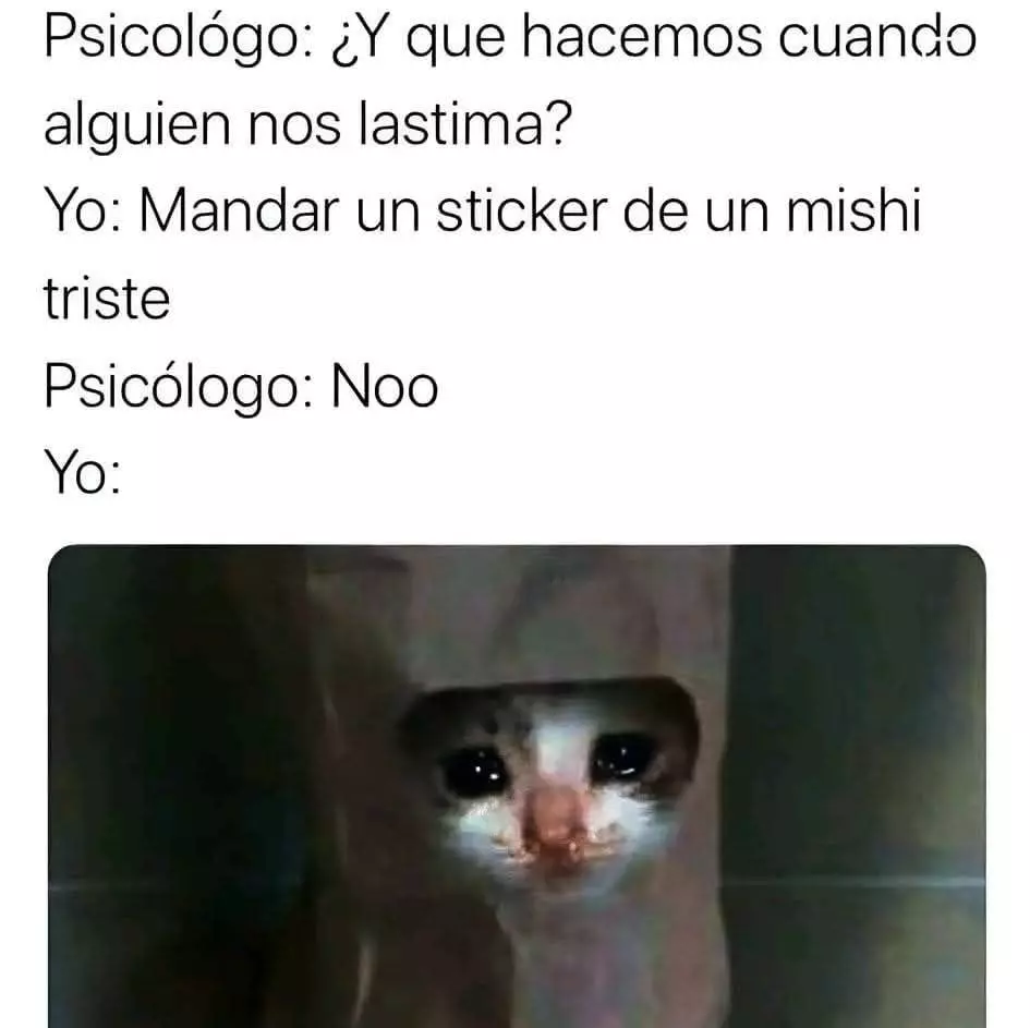 1735904428957.webp