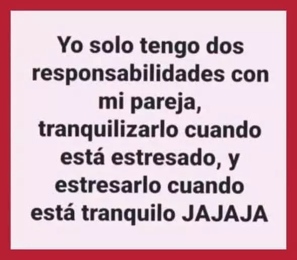 1735904474116.webp