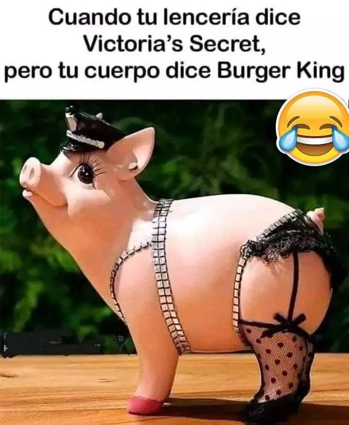 1736426637085.webp