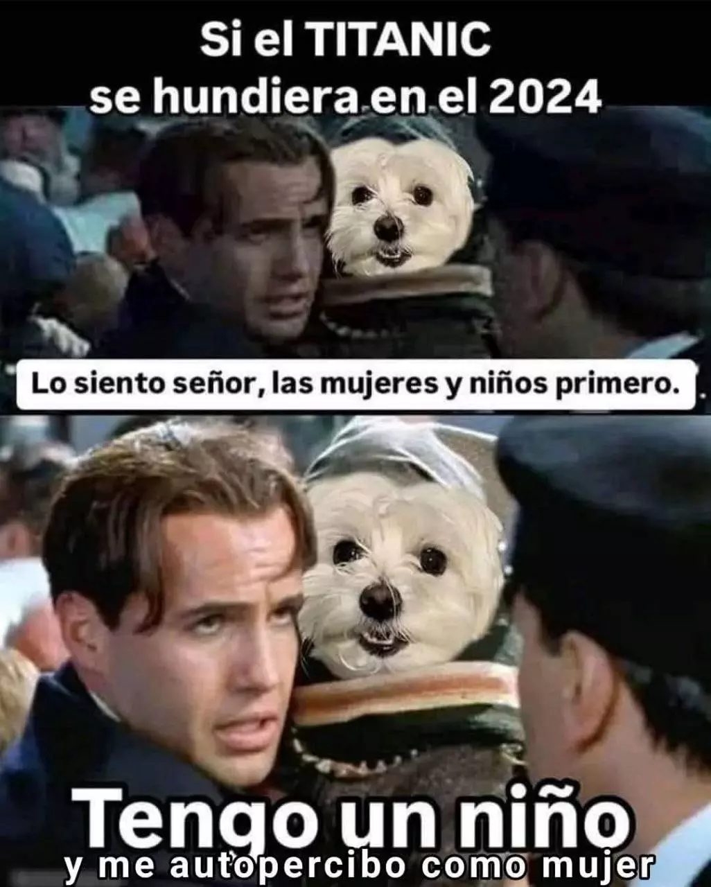 1736426874195.webp
