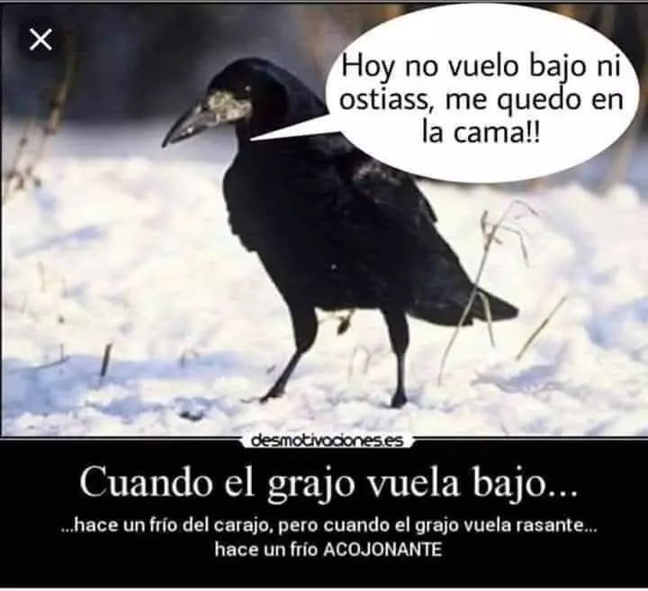 1737010375016.webp