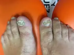 1737064590248.webp