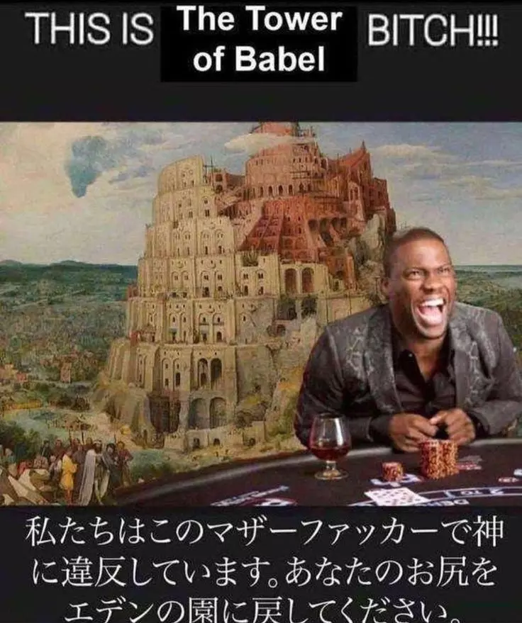 1738214095091.webp