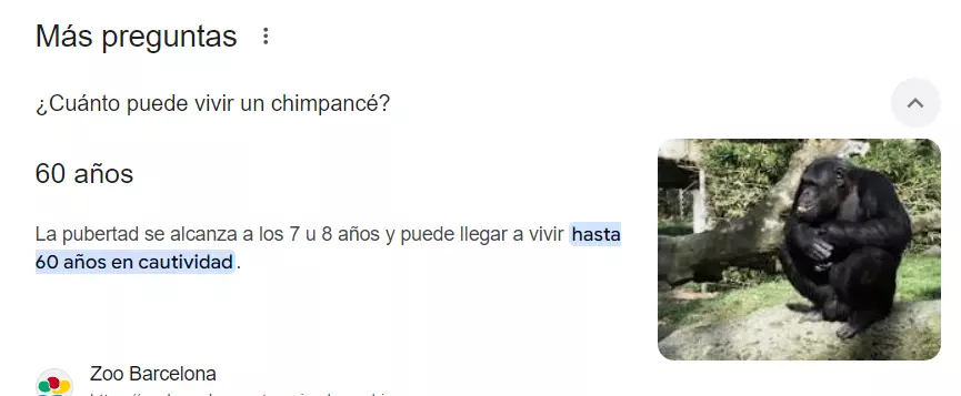 1738591051768.webp