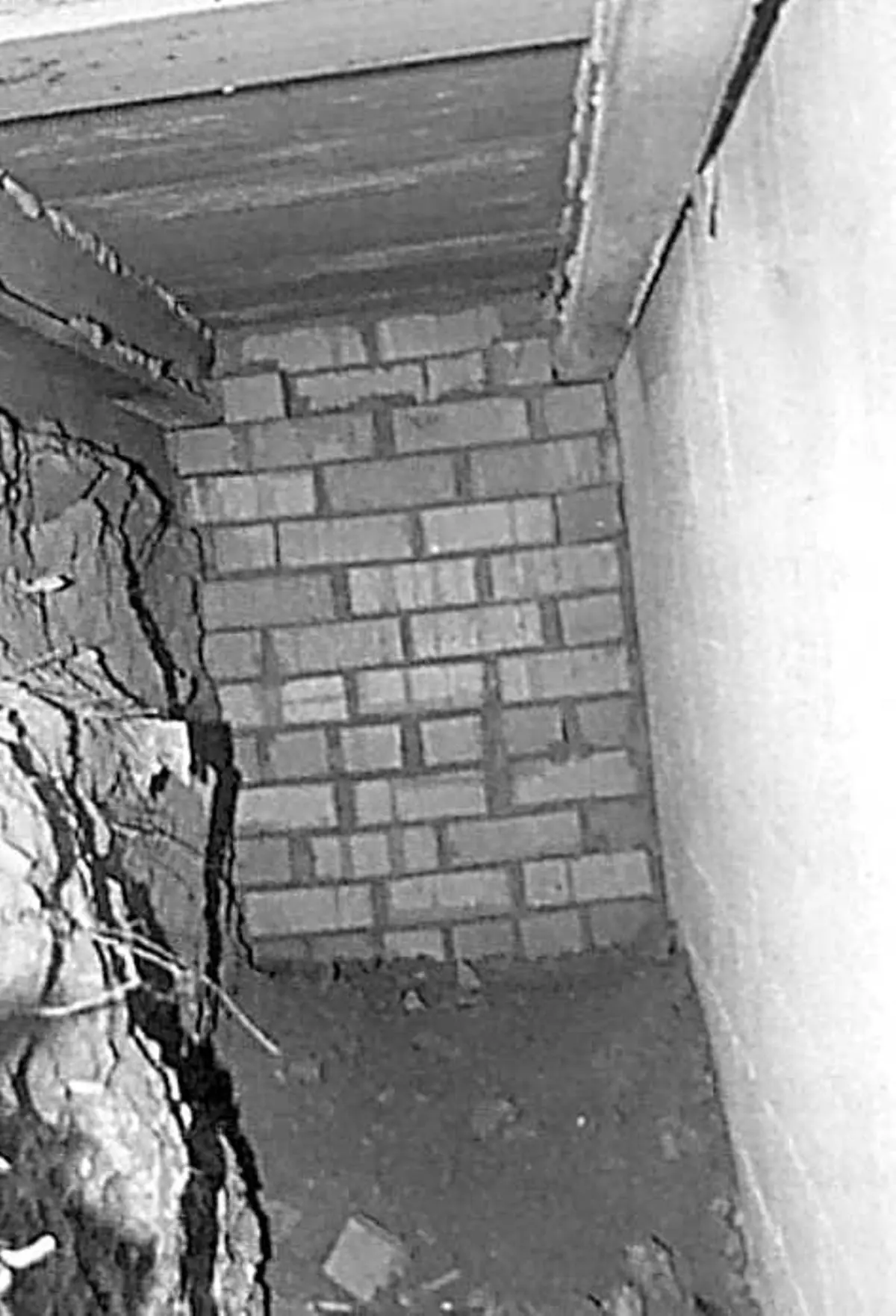1738684026925.webp