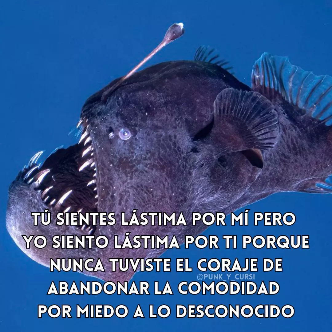 1739200012911.webp