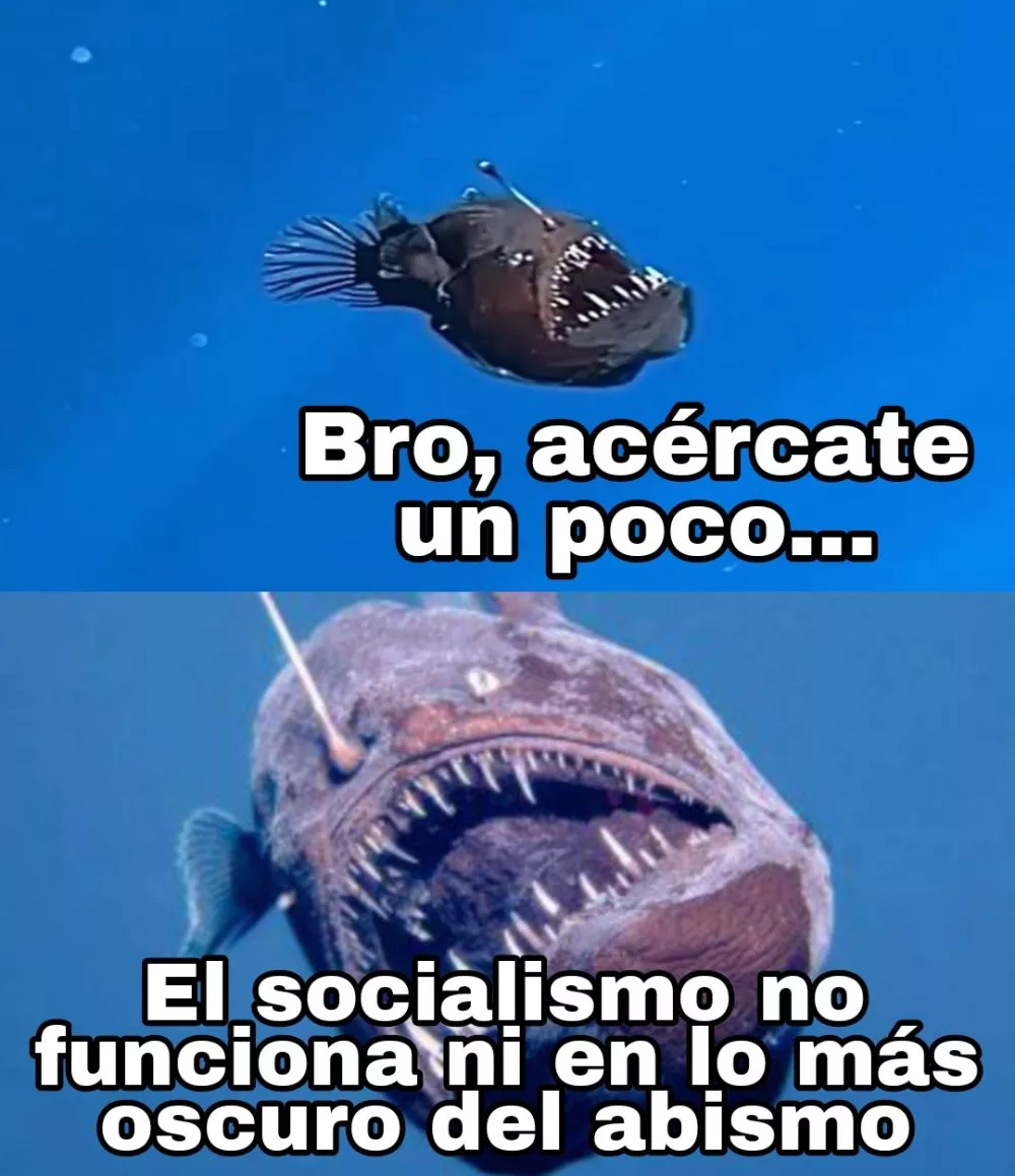 1739801341642.webp