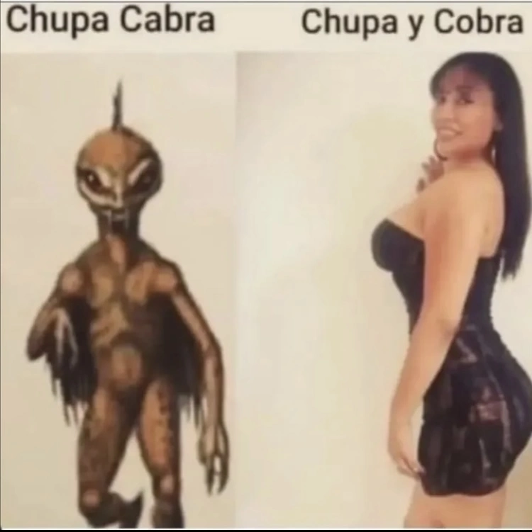 1740257035002.webp