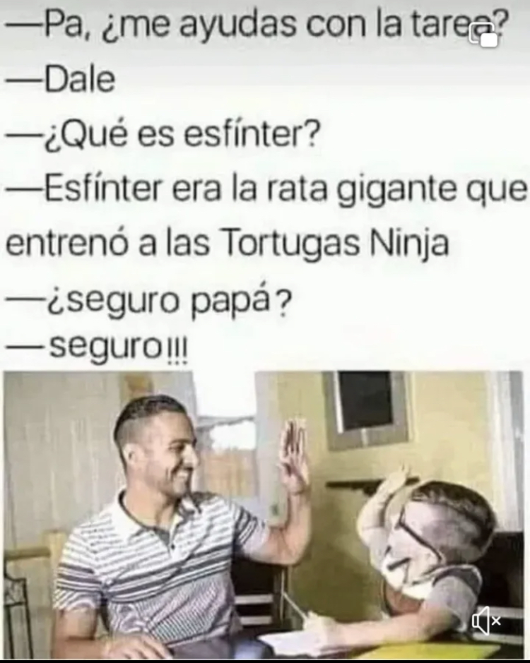 1740257149471.webp