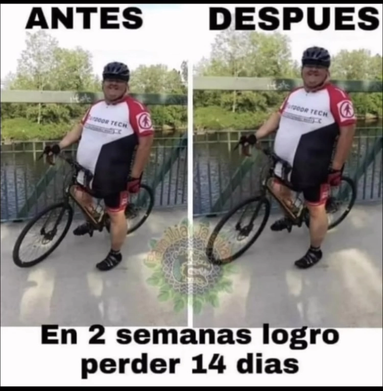 1740300682472.webp