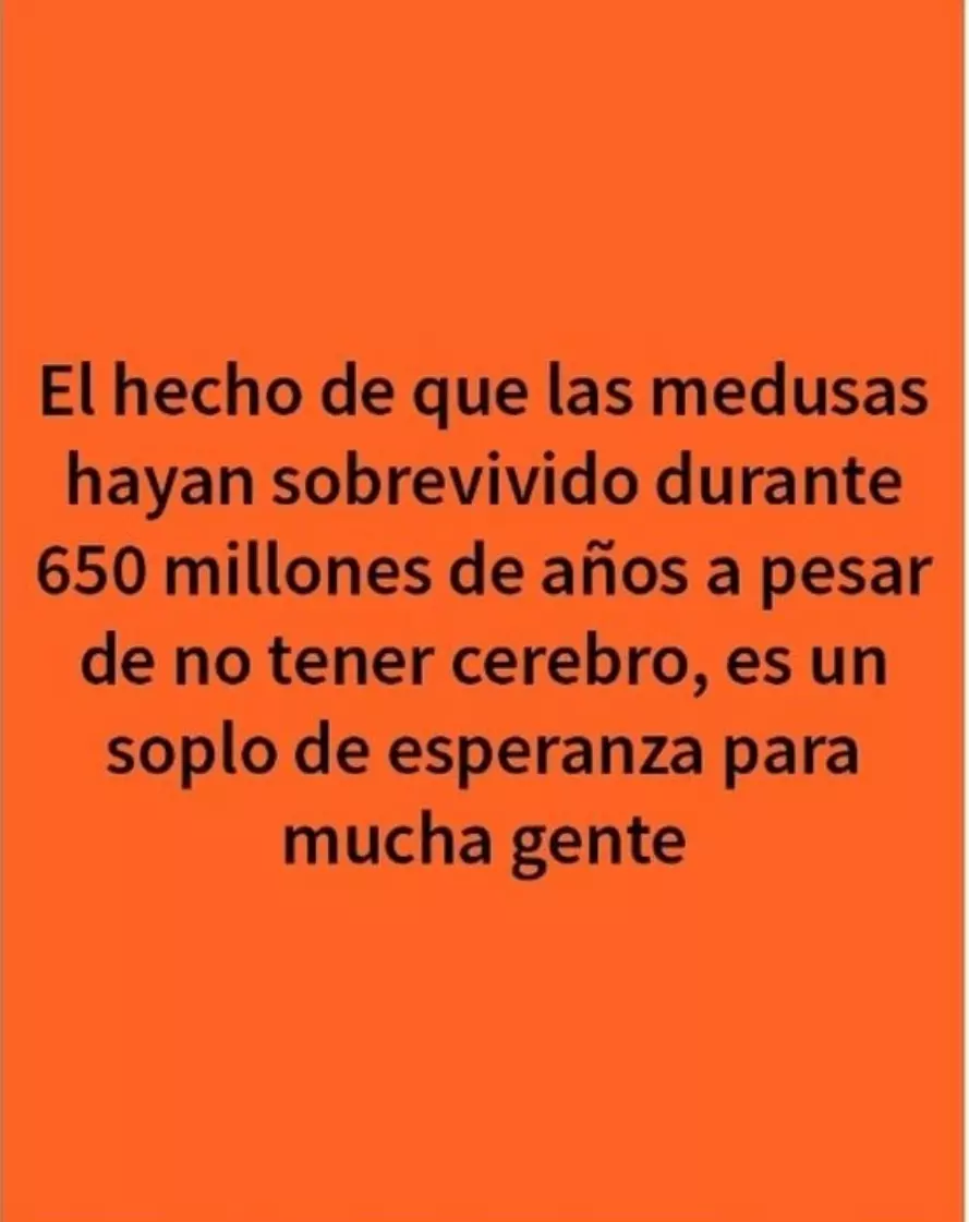 1740442312240.webp