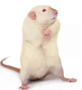 1741208151667.png