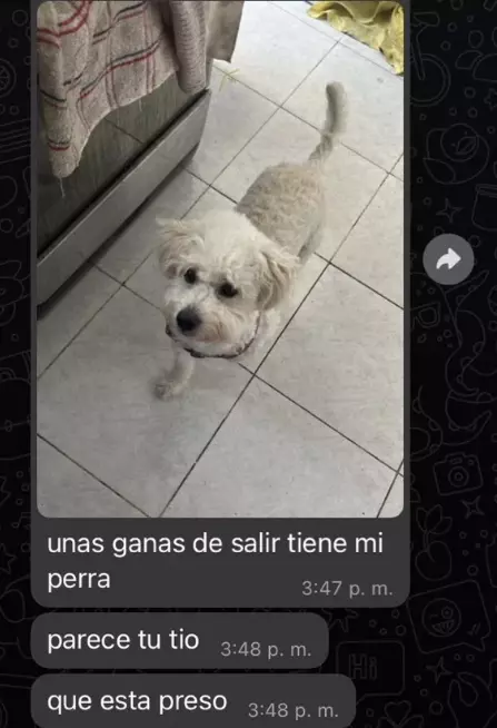 1741860931419.webp