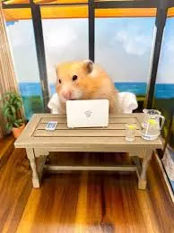 1741940657293.webp